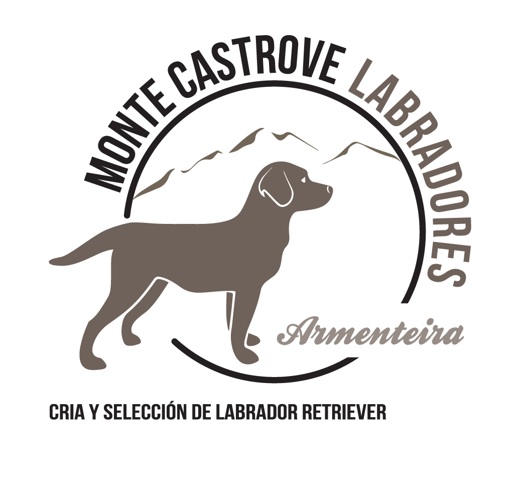 apareamiento-de-perros-gu-a-completa-del-proceso-y-cuidados-monte